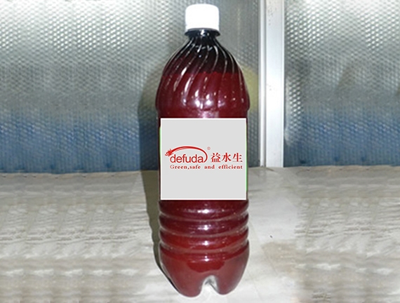 濱州水產專用丁酸梭菌原液